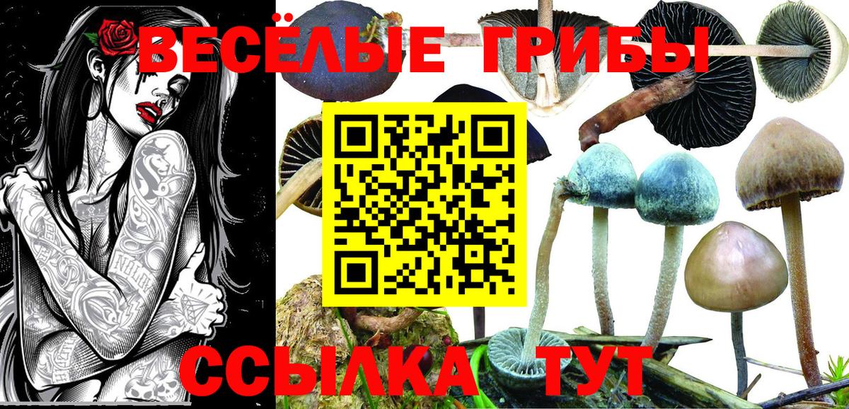 дарнет шоп  Псилоцибиновые грибы Psilocybe  Вход с VPN  Бутурлиновка 