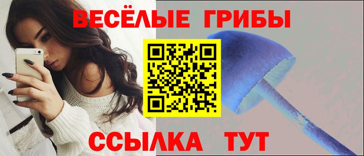 Галлюциногенные грибы Psilocybine cubensis Бутурлиновка